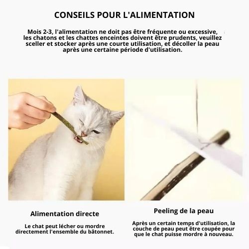 Bâton naturelle pour les dents de chat