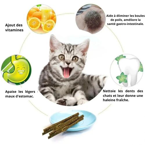 Bâton naturelle pour les dents de chat