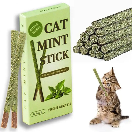 Natural stick for cat teeth