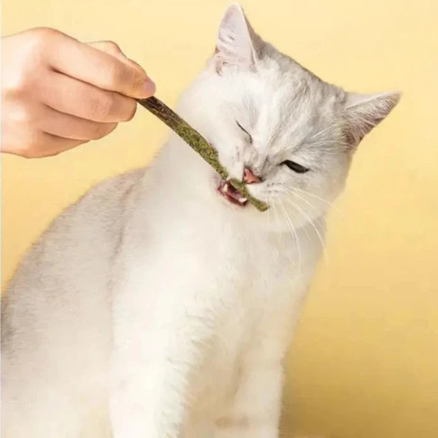 Natural stick for cat teeth