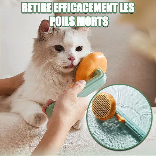 Brosse de toilettage pour chat