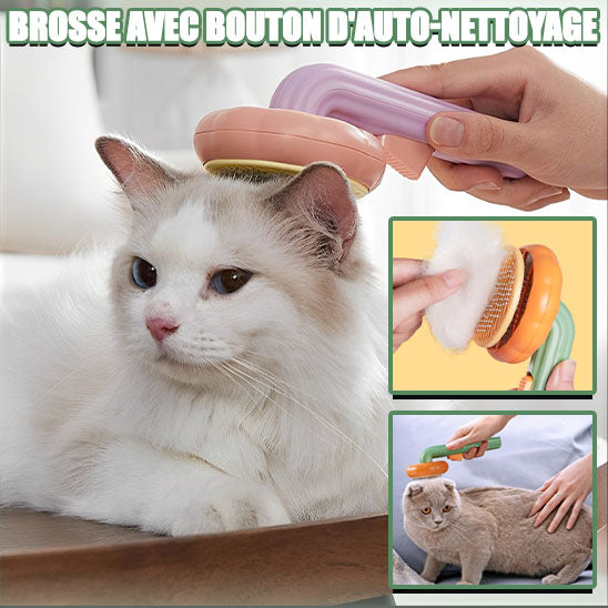 Brosse de toilettage pour chat