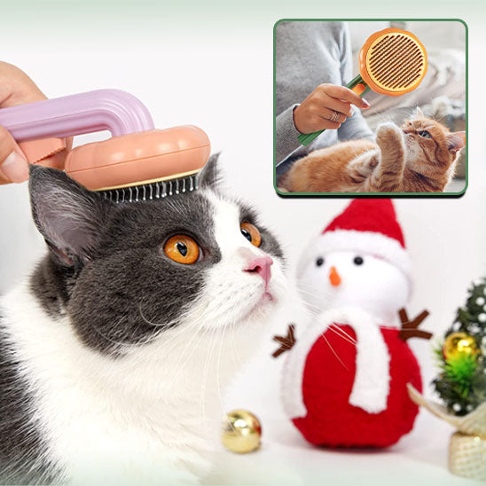 Brosse de toilettage pour chat