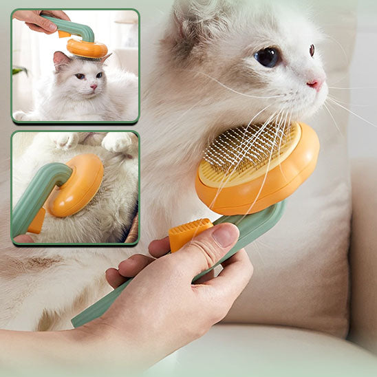 Brosse de toilettage pour chat