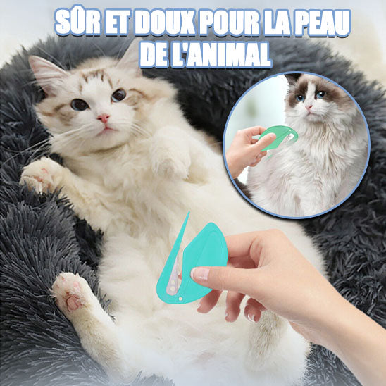 Brosse de Toilettage