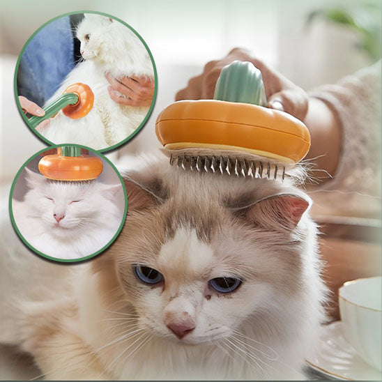 Brosse de toilettage pour chat